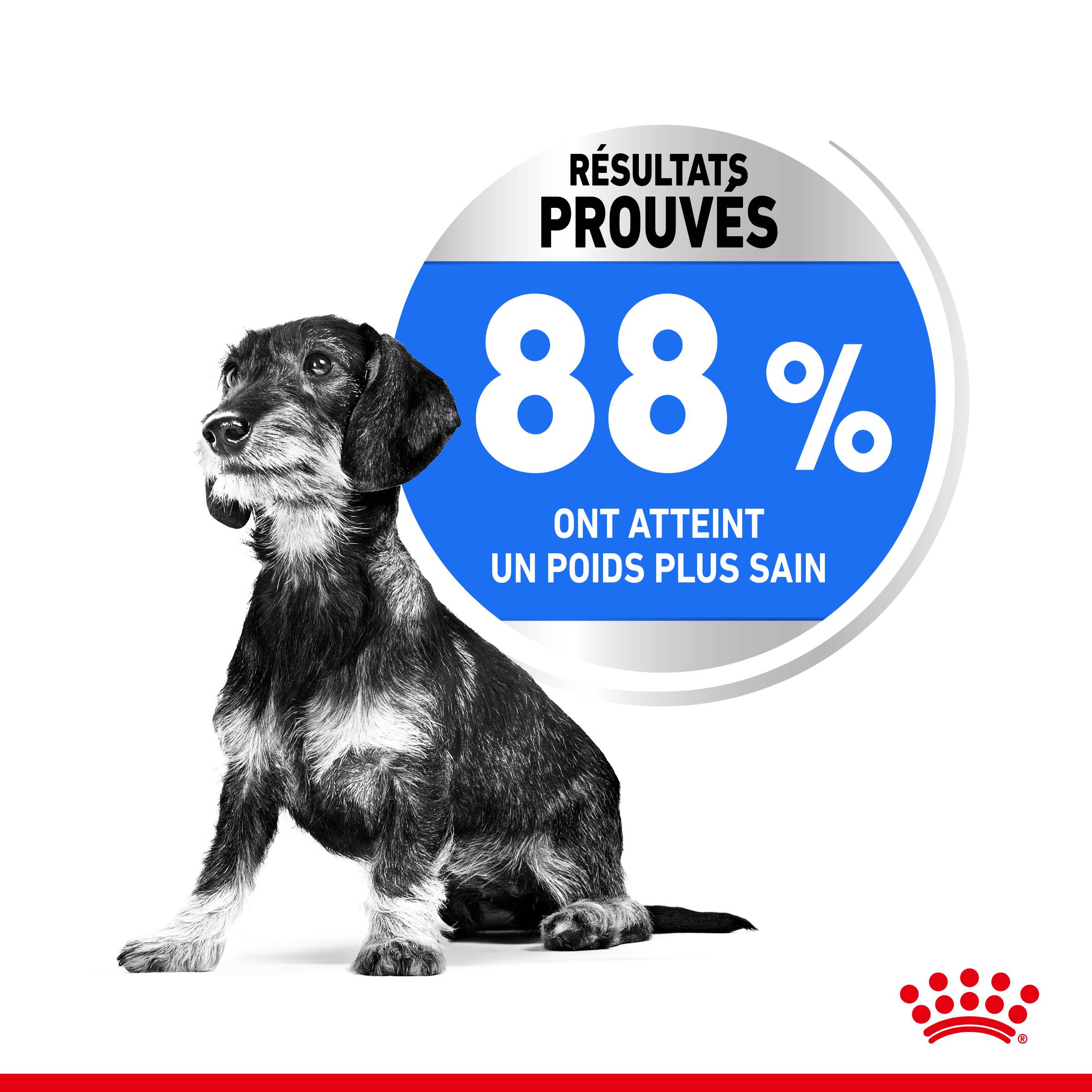Royal Canin - Croquettes Chien Mini Light Weight Care - ROYAL CANIN - Image 7