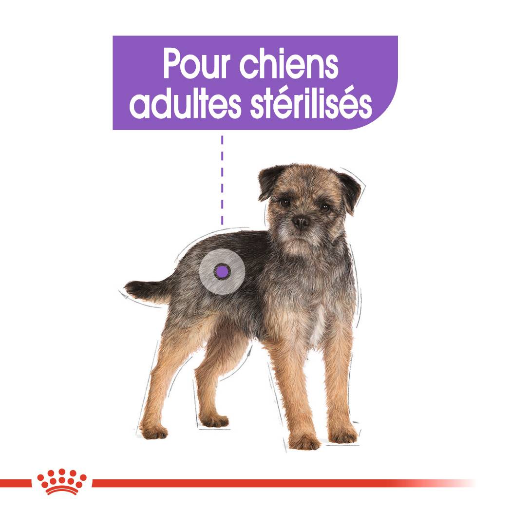 Royal Canin - Croquettes chien MINI STERILISED - ROYAL CANIN - Image 6