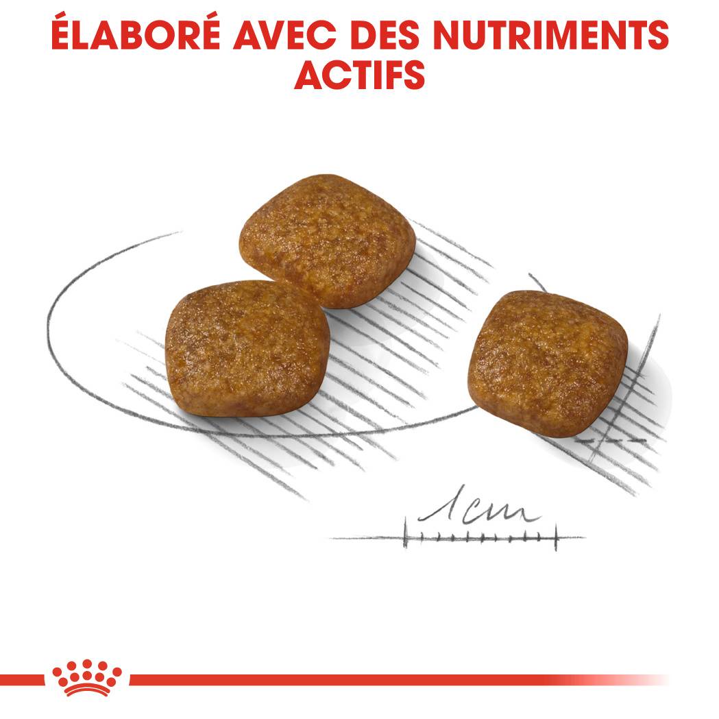 Royal Canin - Croquettes chien mini - ROYAL CANIN - Image 2