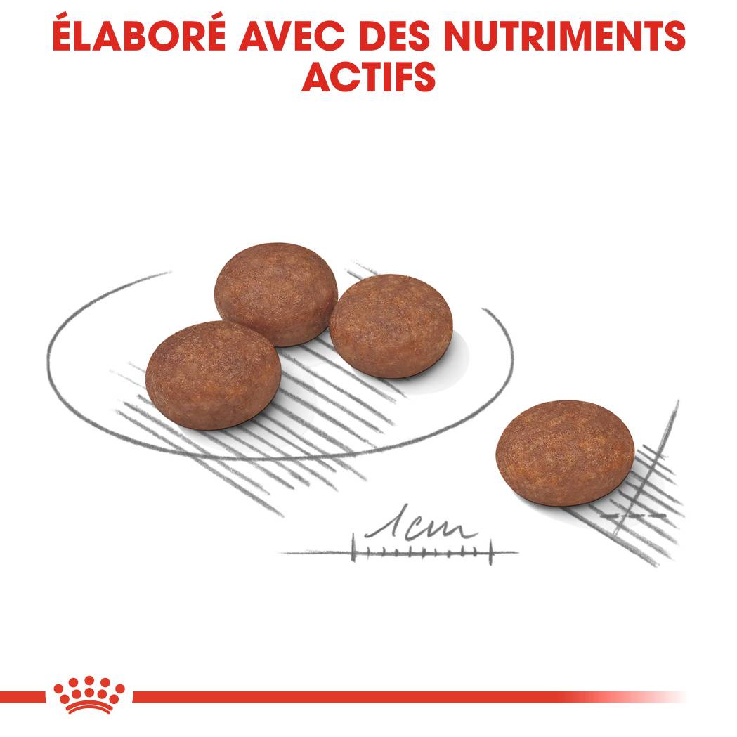 Royal Canin - Royal Canin - Croquettes pour chien Mini Care Digest 8 kg - Imagen 5