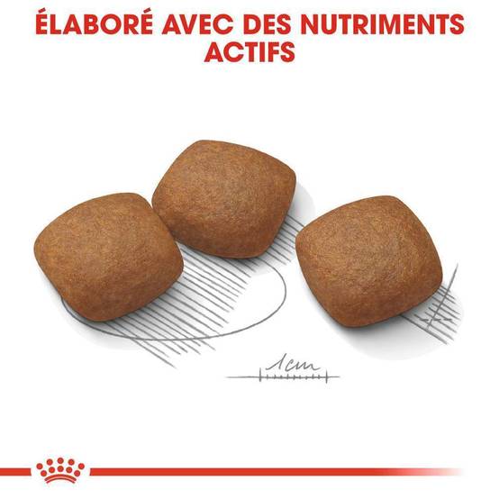 Royal Canin - Croquettes pour chien Joint Care - ROYAL CANIN - Image 5