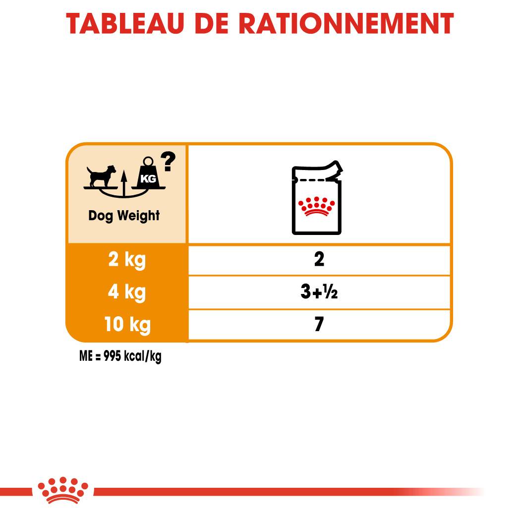 Royal Canin - Sobres Frescura Coat Care Mousse Perro 12x85g - ROYAL CANIN - Imagen 4