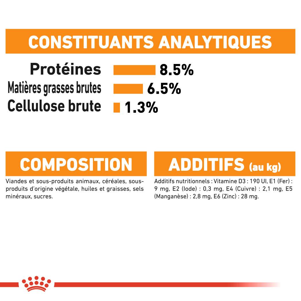 Royal Canin - Sobres Frescura Coat Care Mousse Perro 12x85g - ROYAL CANIN - Imagen 7