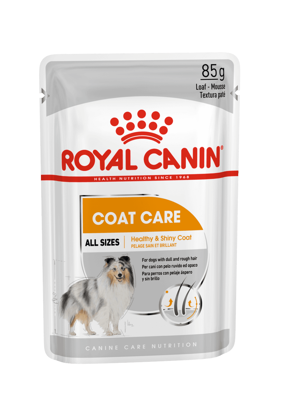 Royal Canin - Sobres Frescura Coat Care Mousse Perro 12x85g - ROYAL CANIN - Imagen 6