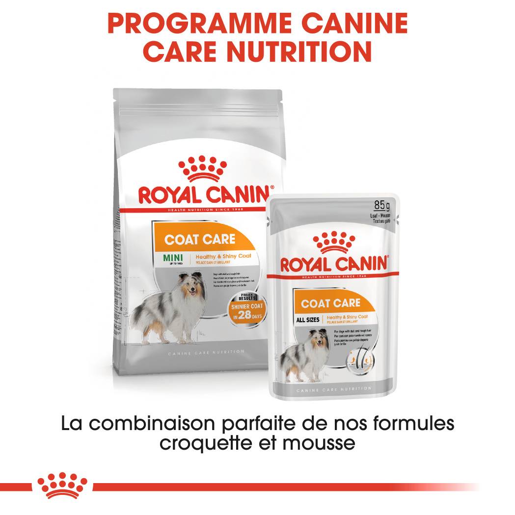 Royal Canin - Sobres Frescura Coat Care Mousse Perro 12x85g - ROYAL CANIN - Imagen 5