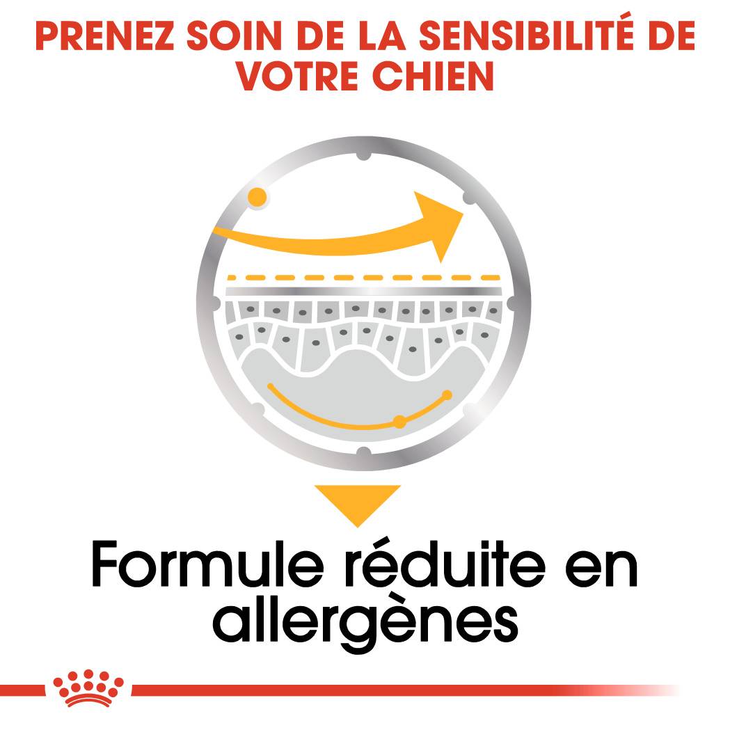 Royal Canin - Aliment Chien Adulte Humide - ROYAL CANIN - Imagen 3