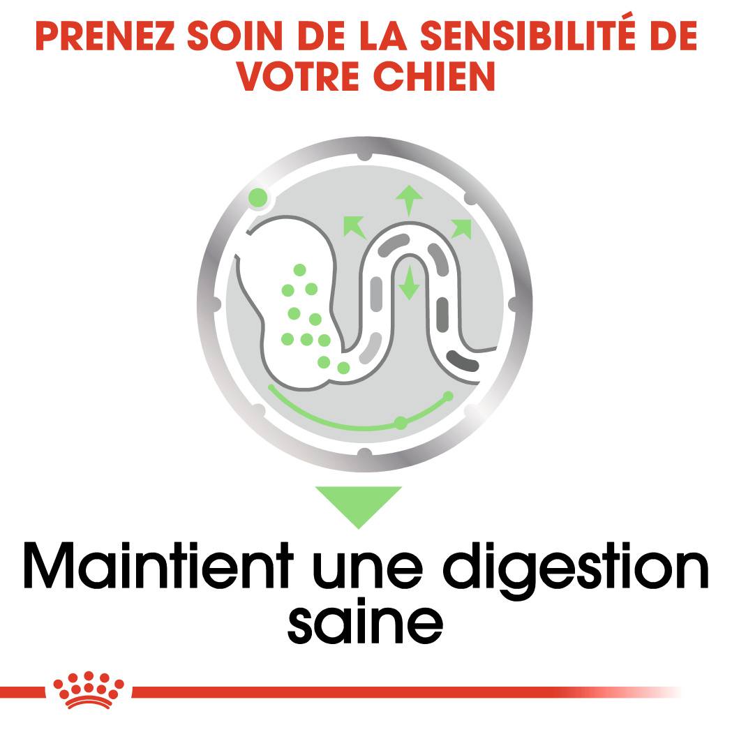 Royal Canin - Royal Canin Coat Care Aliment complet - ROYAL CANIN - Image 9