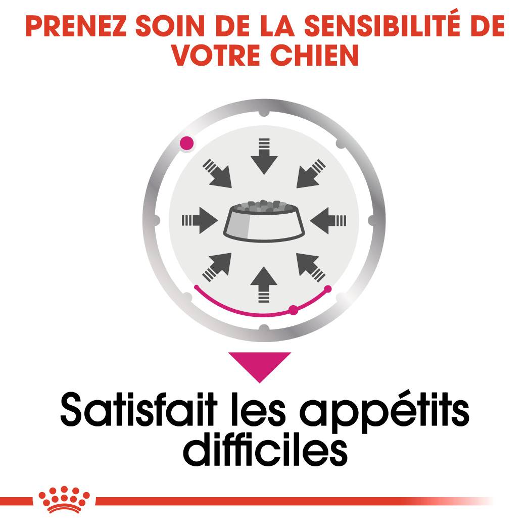 Royal Canin - Nourriture Humide Exigent Mousse – ROYAL CANIN - Imagen 9