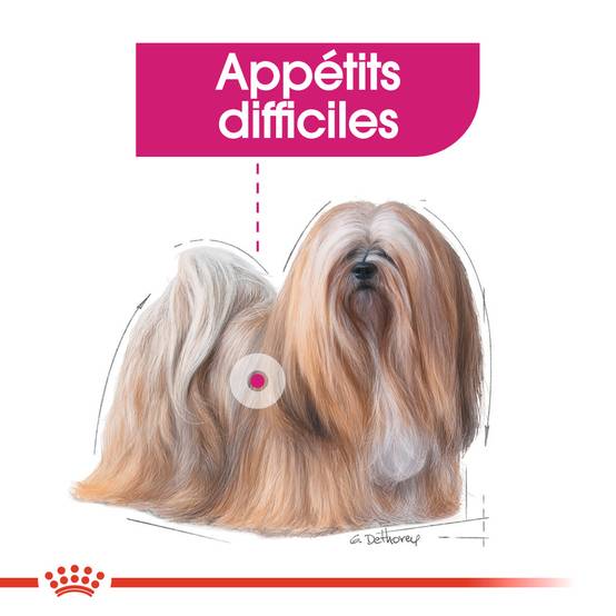 Royal Canin - Nourriture Humide Exigent Mousse – ROYAL CANIN - Image 6