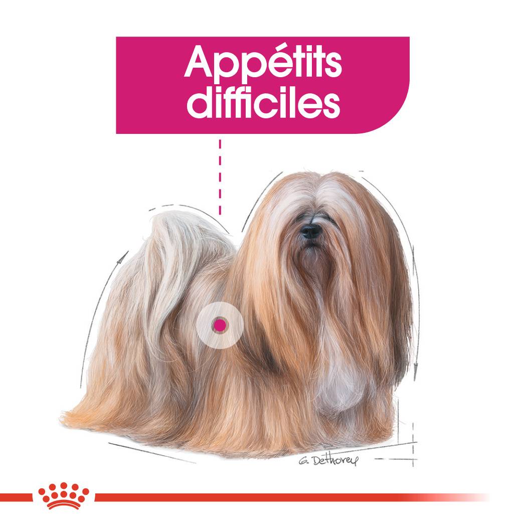 Royal Canin - Nourriture Humide Exigent Mousse – ROYAL CANIN - Imagen 6