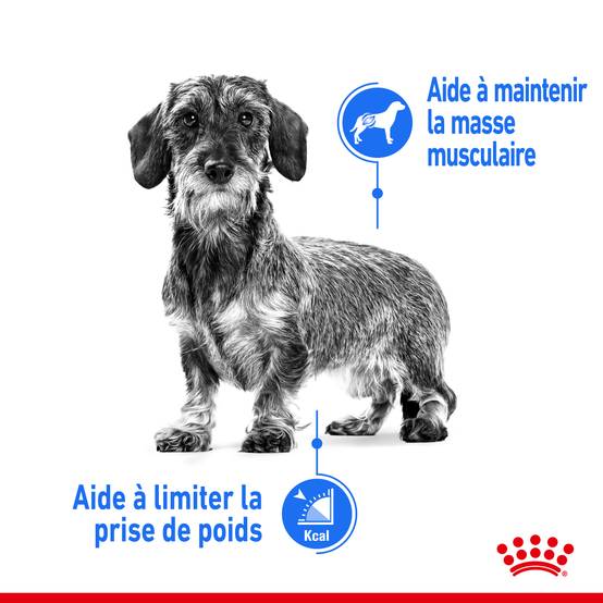 Royal Canin - Aliment Chien Light Weight Care – ROYAL CANIN - Image 5