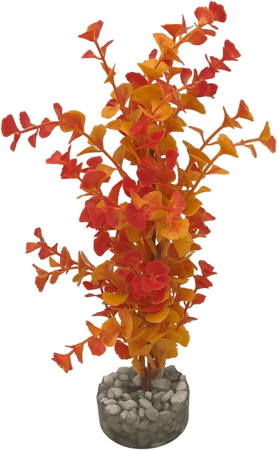 Labéo - Labéo - Décor Plante Ludwigia artificielle - Ø.8 x H.24 cm - Image 4