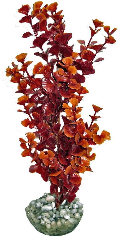 Labéo - Labéo - Décor Plante Ludwigia artificielle - Ø.8 x H.24 cm - Image 7