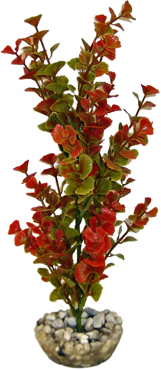 Labéo - Labéo - Décor Plante Ludwigia artificielle - Ø.8 x H.24 cm - Image 5