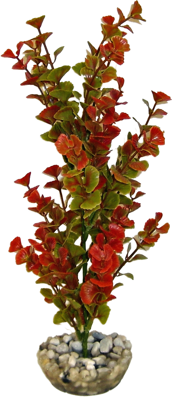 Labéo - Labéo - Décor Plante Ludwigia artificielle - Ø.8 x H.24 cm - Image 5