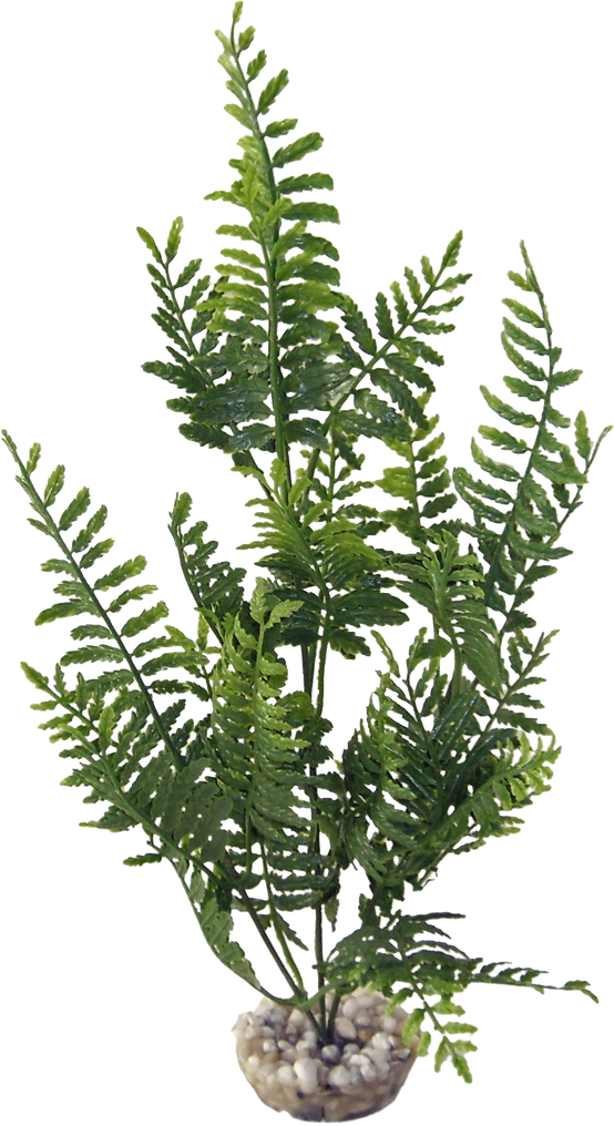 Labéo - Plante artificielle Bolbitis vert - H.33 cm - Labéo