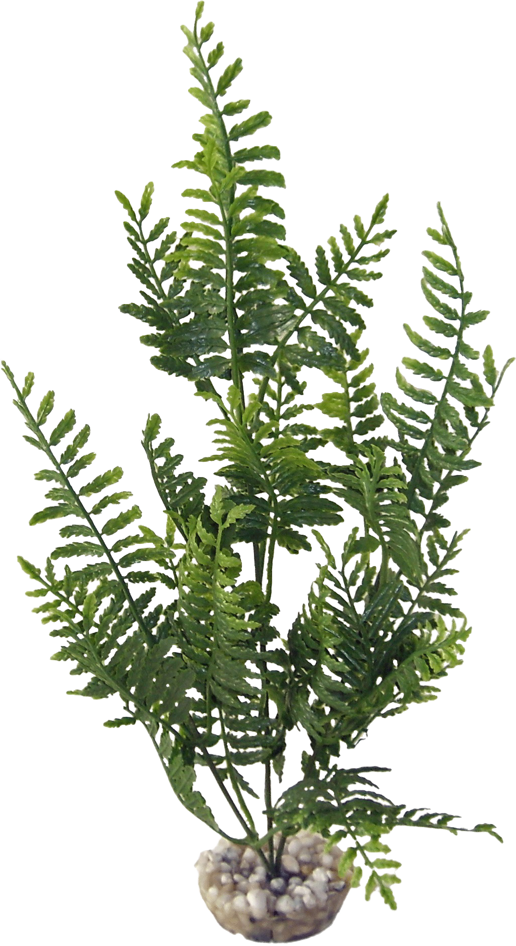 Labéo - Plante artificielle Bolbitis vert - H.33 cm - Labéo