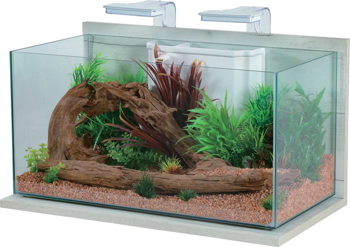 Zolux - Aquarium Verre Céruse Blanc – ZOLUX