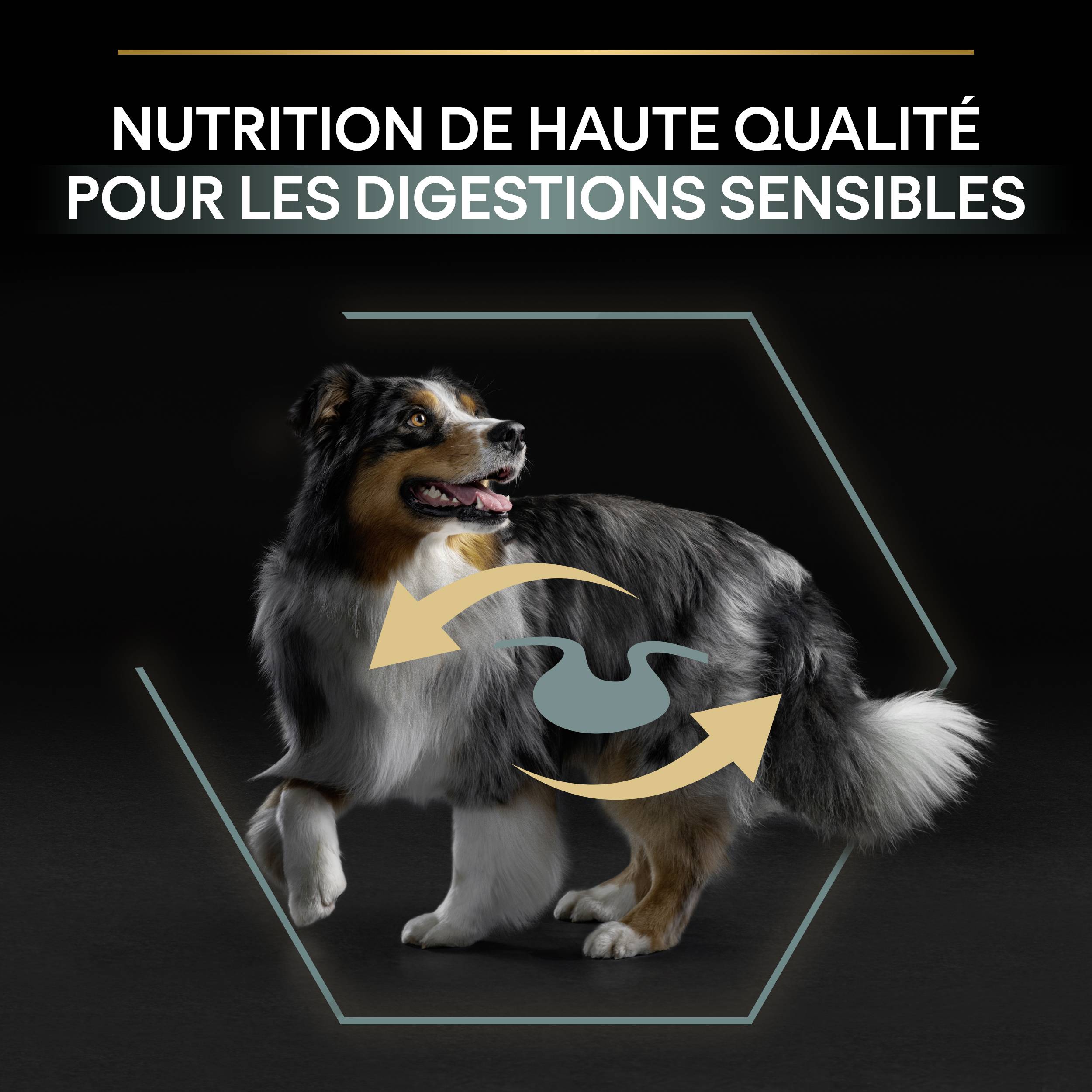 Purina Pro Plan - Croquettes chien Medium Adulte Sensitive Digestion Dinde 2,5 kg - PRO PLAN - Image 9