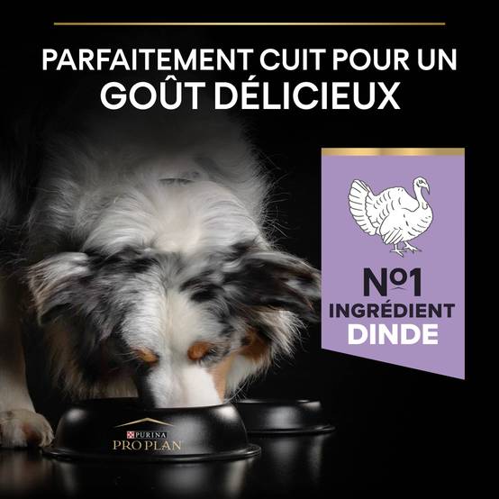 Purina Pro Plan - Croquettes chien Medium Adulte Sensitive Digestion Dinde 2,5 kg - PRO PLAN - Image 4