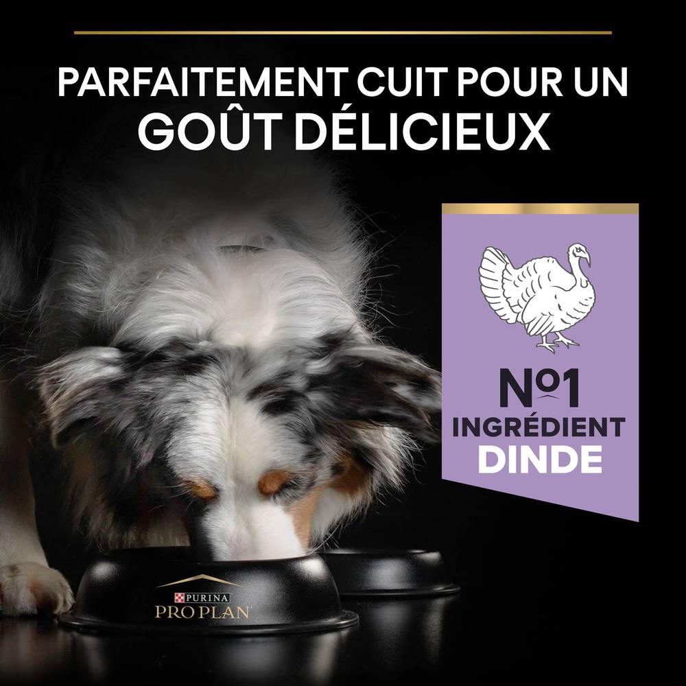 Purina Pro Plan - Croquettes chien Medium Adulte Sensitive Digestion Dinde 2,5 kg - PRO PLAN - Image 6