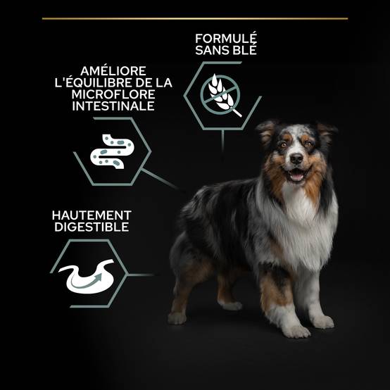 Purina Pro Plan - Croquettes chien Medium Adulte Sensitive Digestion Dinde 2,5 kg - PRO PLAN - Image 11