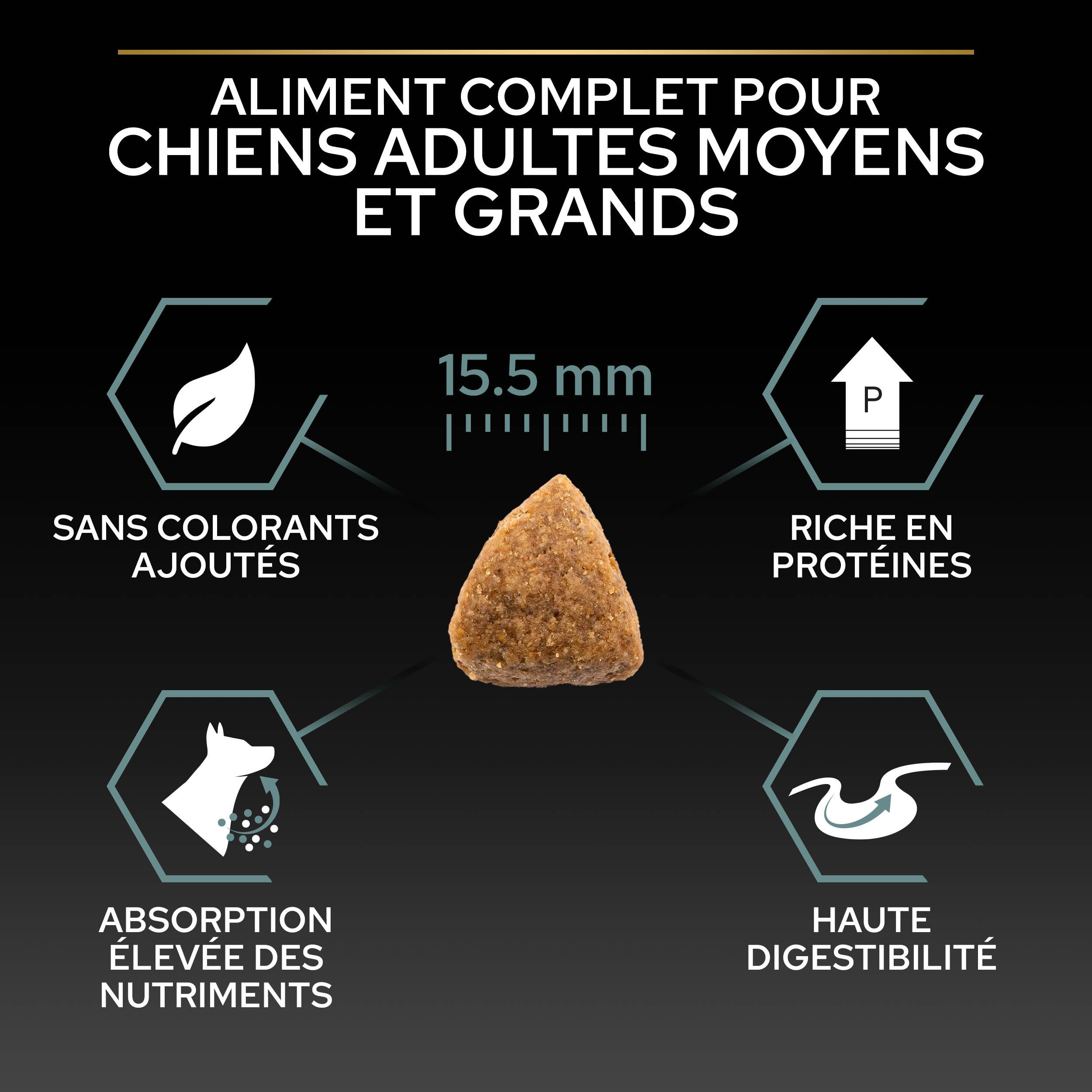 Purina One - Croquettes chien Adulte Medium Large Digestion sans céréales Dinde 12 kg - PRO PLAN - Image 9