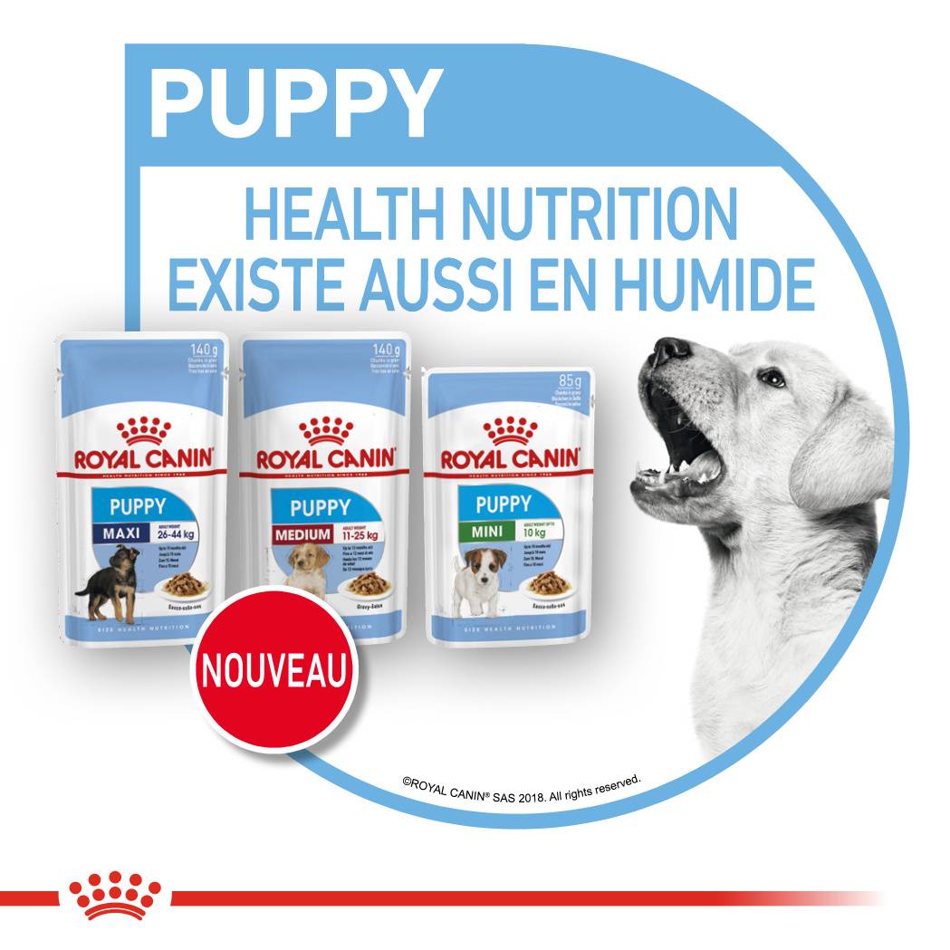 Royal Canin - Aliment chien sachet fraîcheur - ROYAL CANIN - Image 6