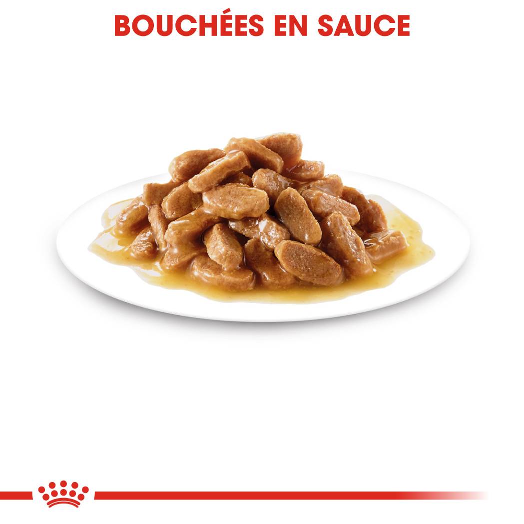 Royal Canin - Aliment chien sachet fraîcheur - ROYAL CANIN - Image 2