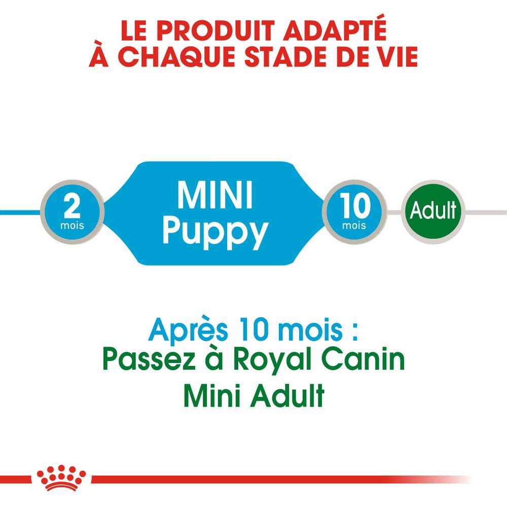 Royal Canin - Aliment chien sachet fraîcheur - ROYAL CANIN - Image 11