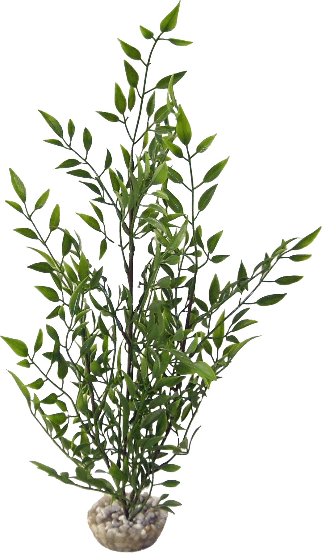 Labéo - Plante artificielle bambou - H.37 cm - Labéo