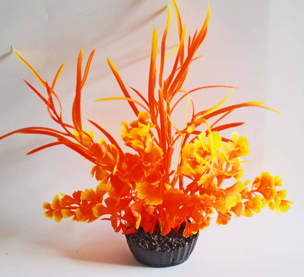 Labéo - Decoración Hierba Mariposa - LABEO - Imagen 7