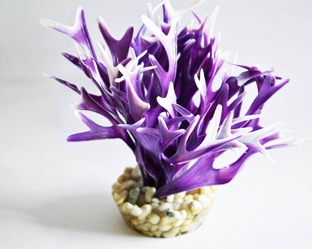 Labéo - Labéo - Décor algue artificielle coloris assortis Ø.10 x H.12 cm - Imagen 2