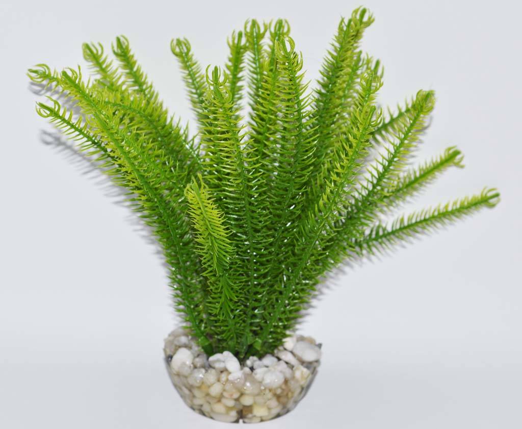 Labéo - Labéo - Décor Cypérus artificiel - Ø.10 x H.15 cm - Image 1