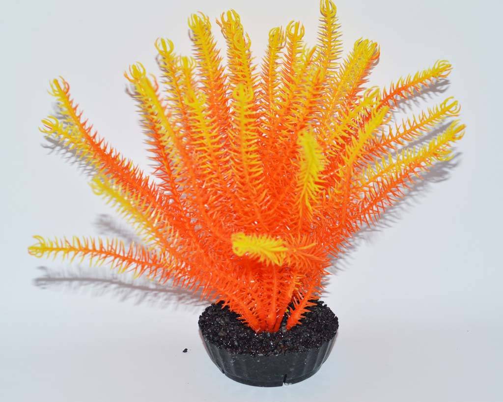 Labéo - Labéo - Décor Cypérus artificiel - Ø.10 x H.15 cm - Image 3