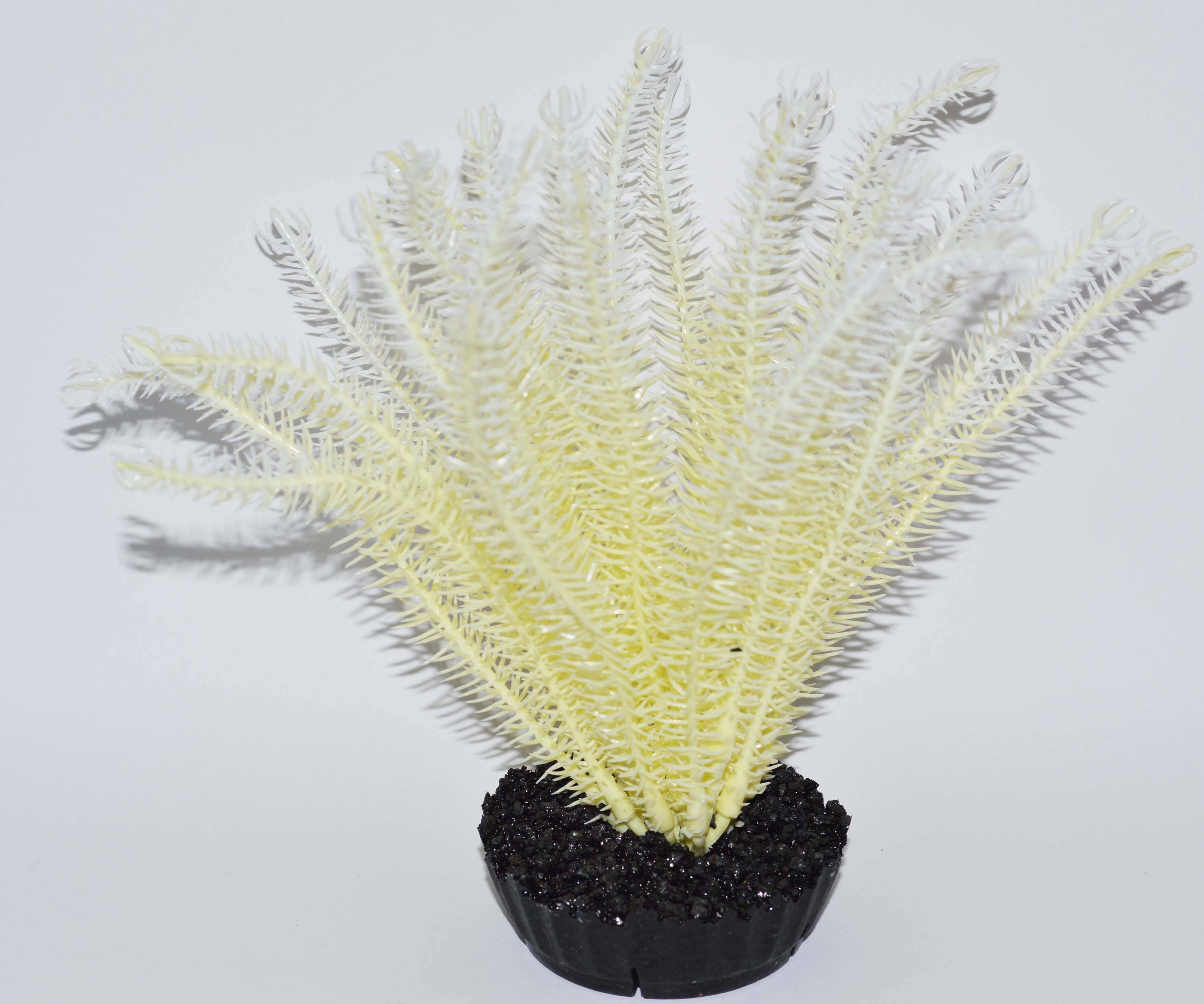 Labéo - Labéo - Décor Cypérus artificiel - Ø.10 x H.15 cm - Image 2