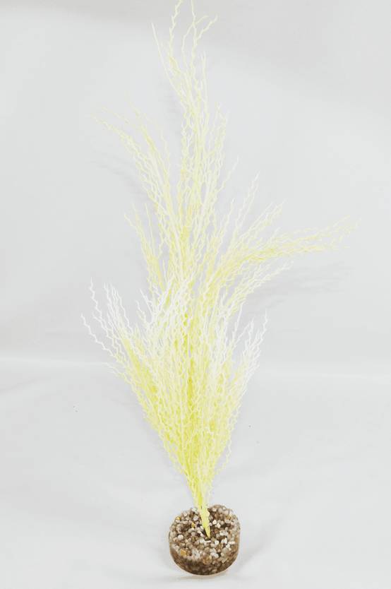 Labéo - Herbe Corail Artificielle Pour Aquarium – LABEO - Image 4