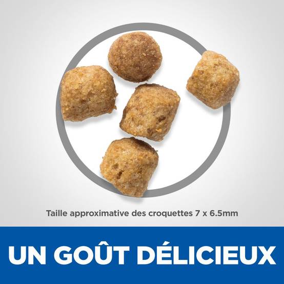 Hill's Pet Nut - Croquettes Chat Adulte Stérilisé Thon - HILL'S - Image 2