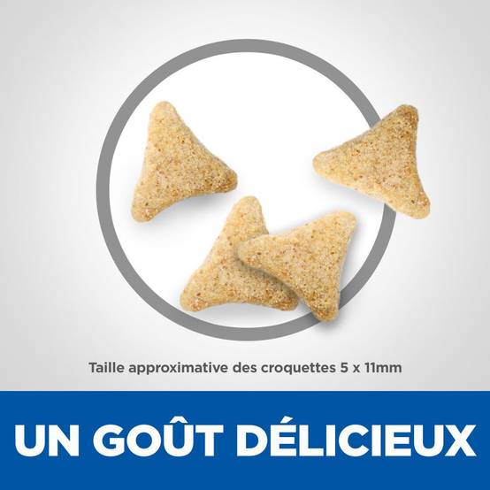 Hill's Pet Nut - Croquettes Chat Adulte Hairball Indoor - HILL'S SCIENCE PLAN - Image 3