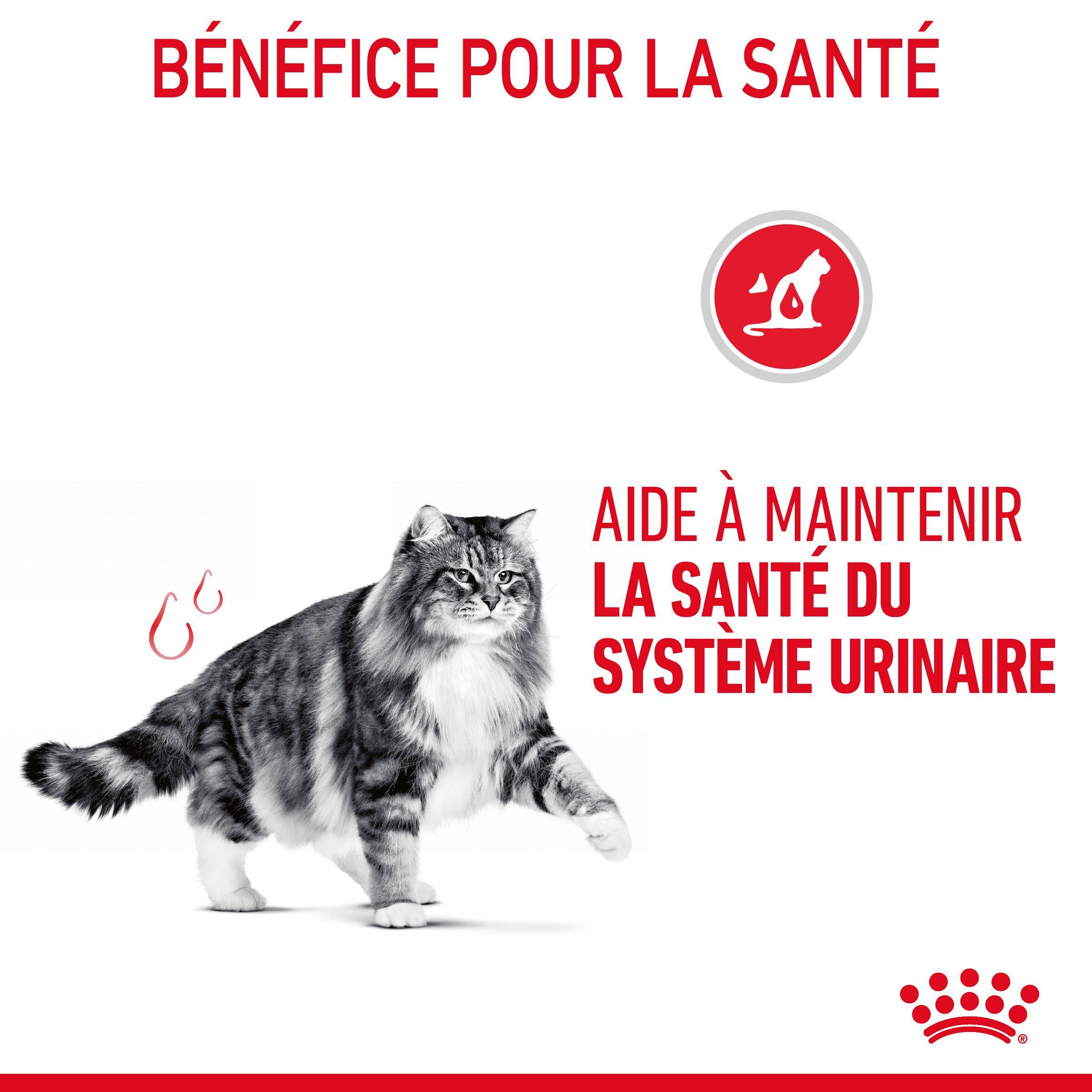 Royal Canin - Bouchées en sauce pour chat adulte - ROYAL CANIN - Image 5