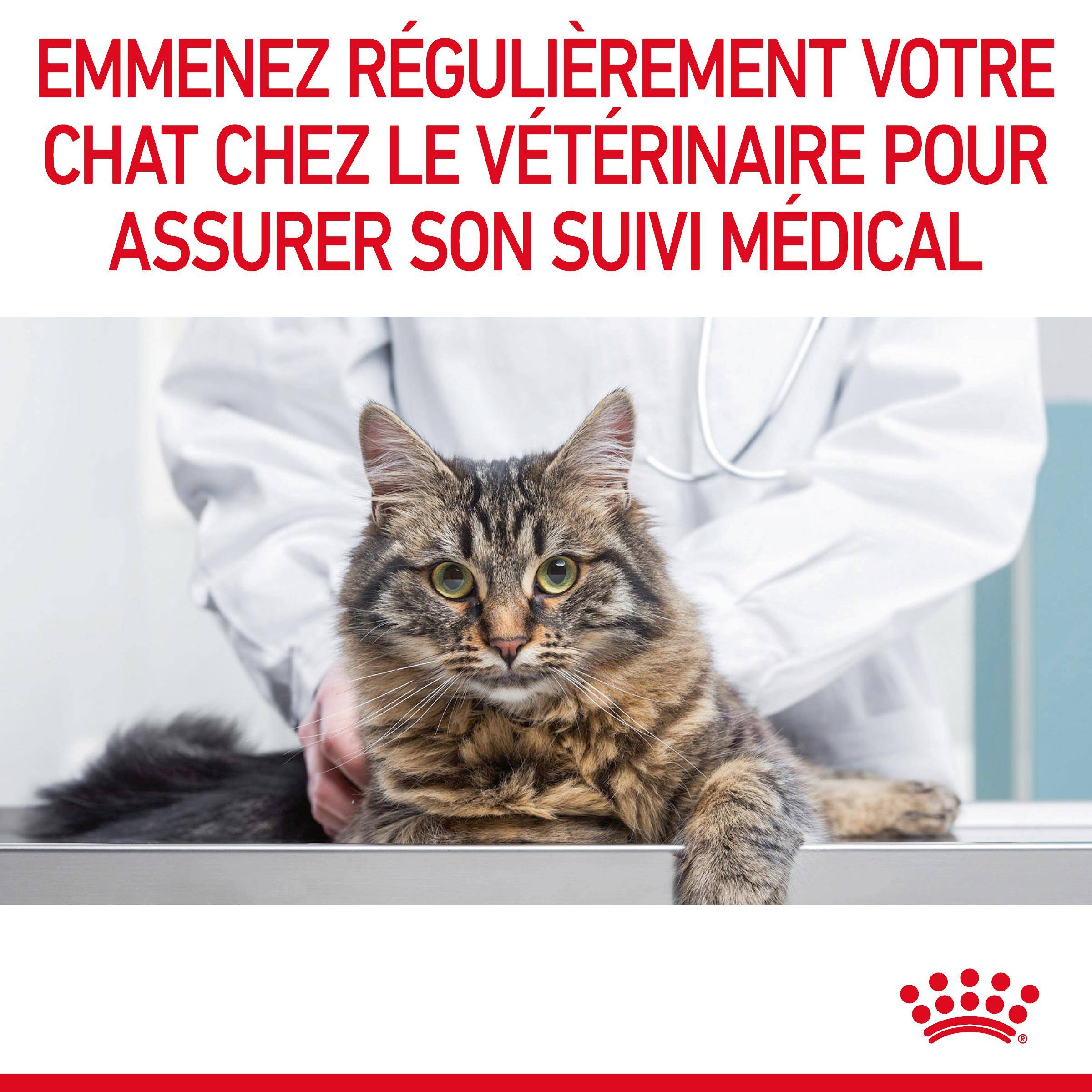 Royal Canin - Bouchées en sauce pour chat adulte - ROYAL CANIN - Image 8