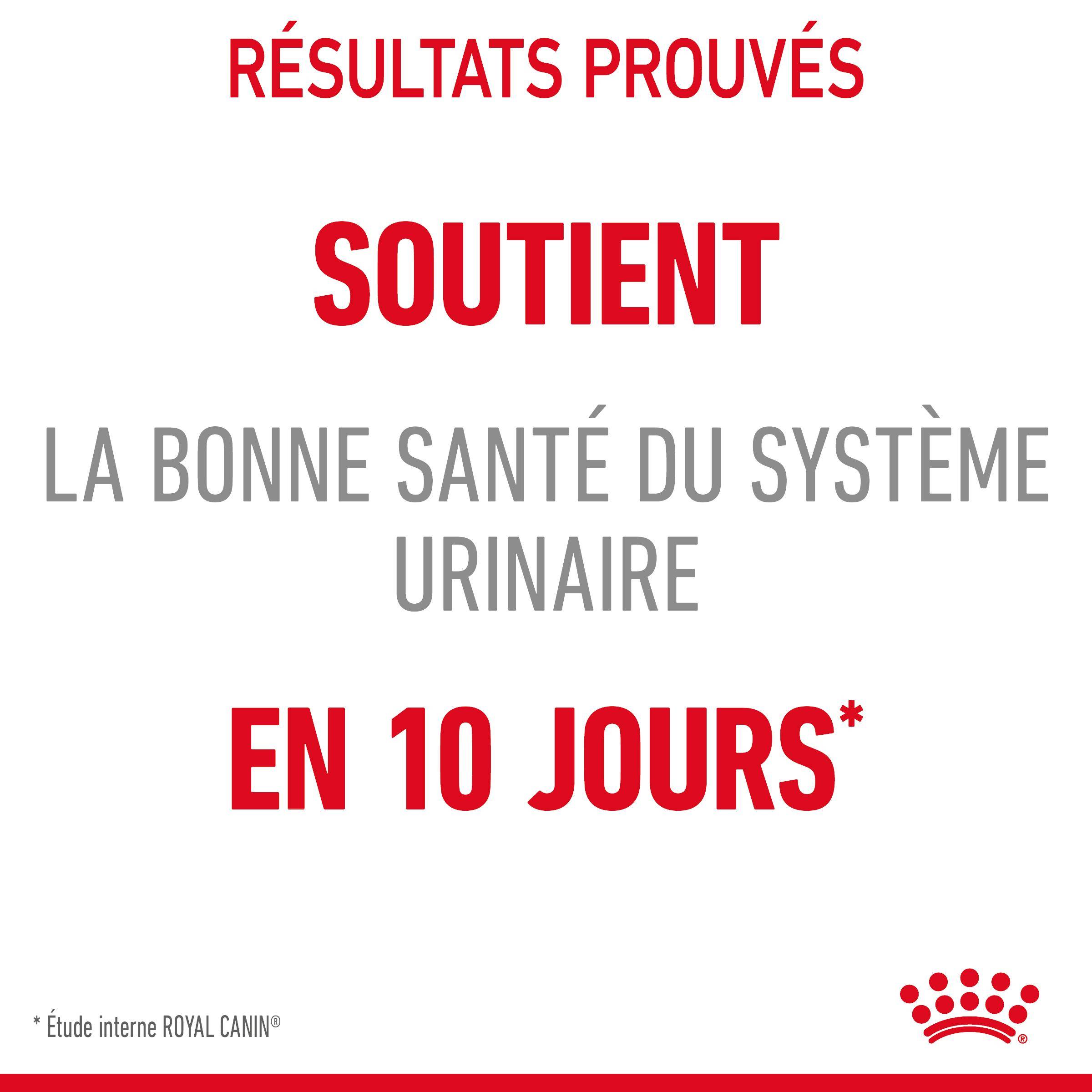Royal Canin - Bouchées en sauce pour chat adulte - ROYAL CANIN - Image 4