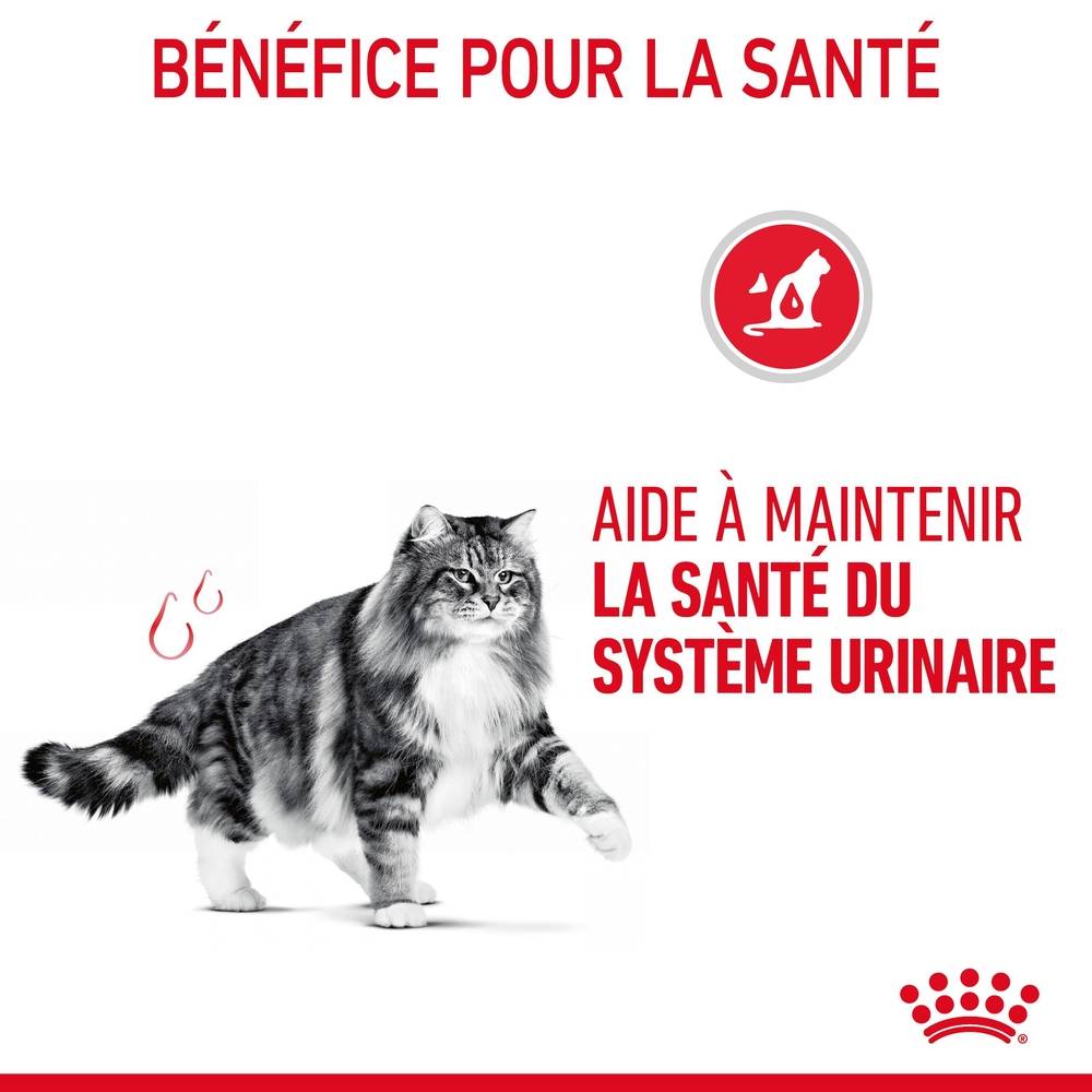 Royal Canin - Bouchées en sauce pour chat adulte - ROYAL CANIN - Image 20