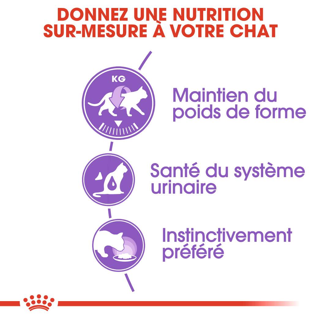 Royal Canin - Sterilised Mousse Aliment Chat - ROYAL CANIN - Image 2
