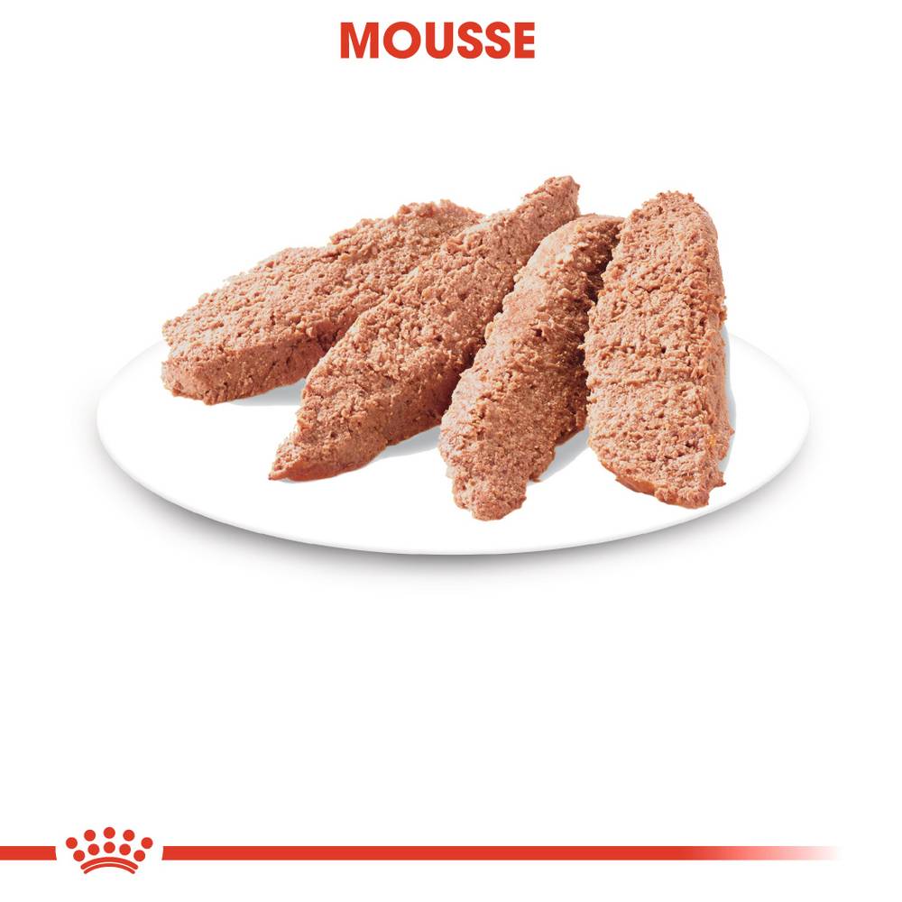 Royal Canin - Sterilised Mousse Aliment Chat - ROYAL CANIN - Image 13