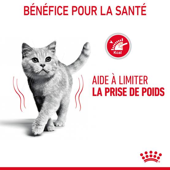 Royal Canin - Aliment chat Light Weight Care sauce - ROYAL CANIN - Image 10