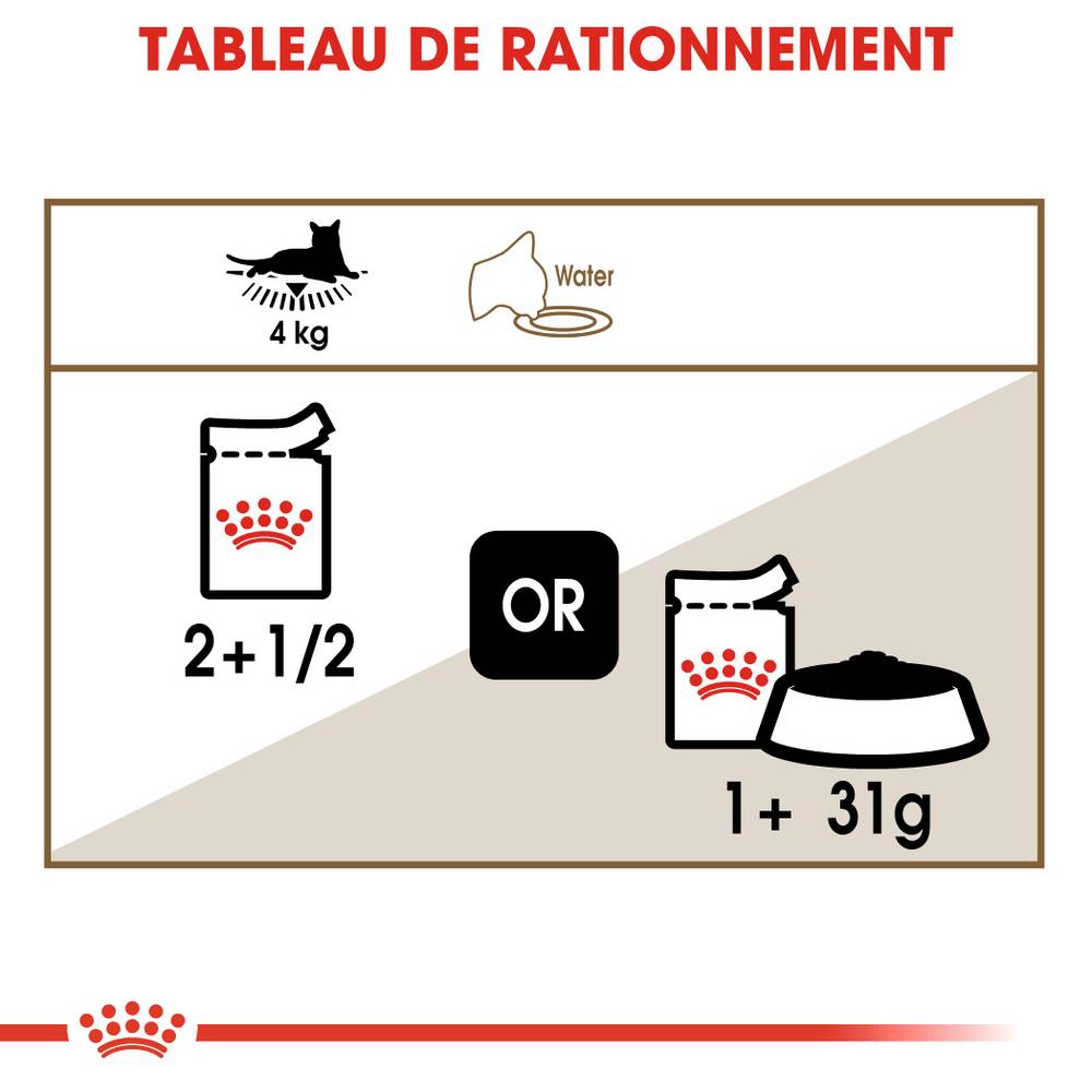 Royal Canin - Aliment Complet Chat Senior – ROYAL CANIN - Imagen 3