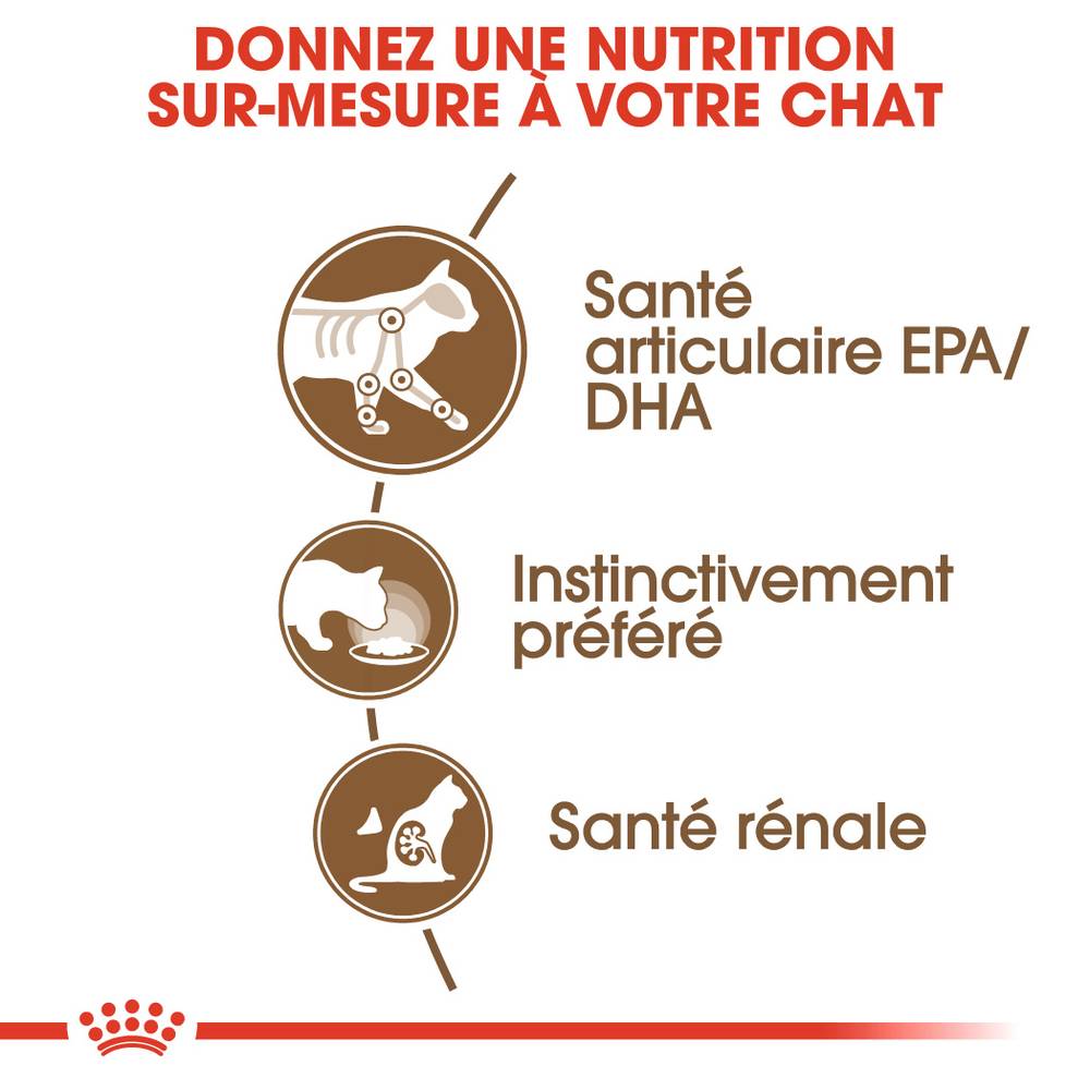 Royal Canin - Aliment Complet Chat Senior – ROYAL CANIN - Imagen 4