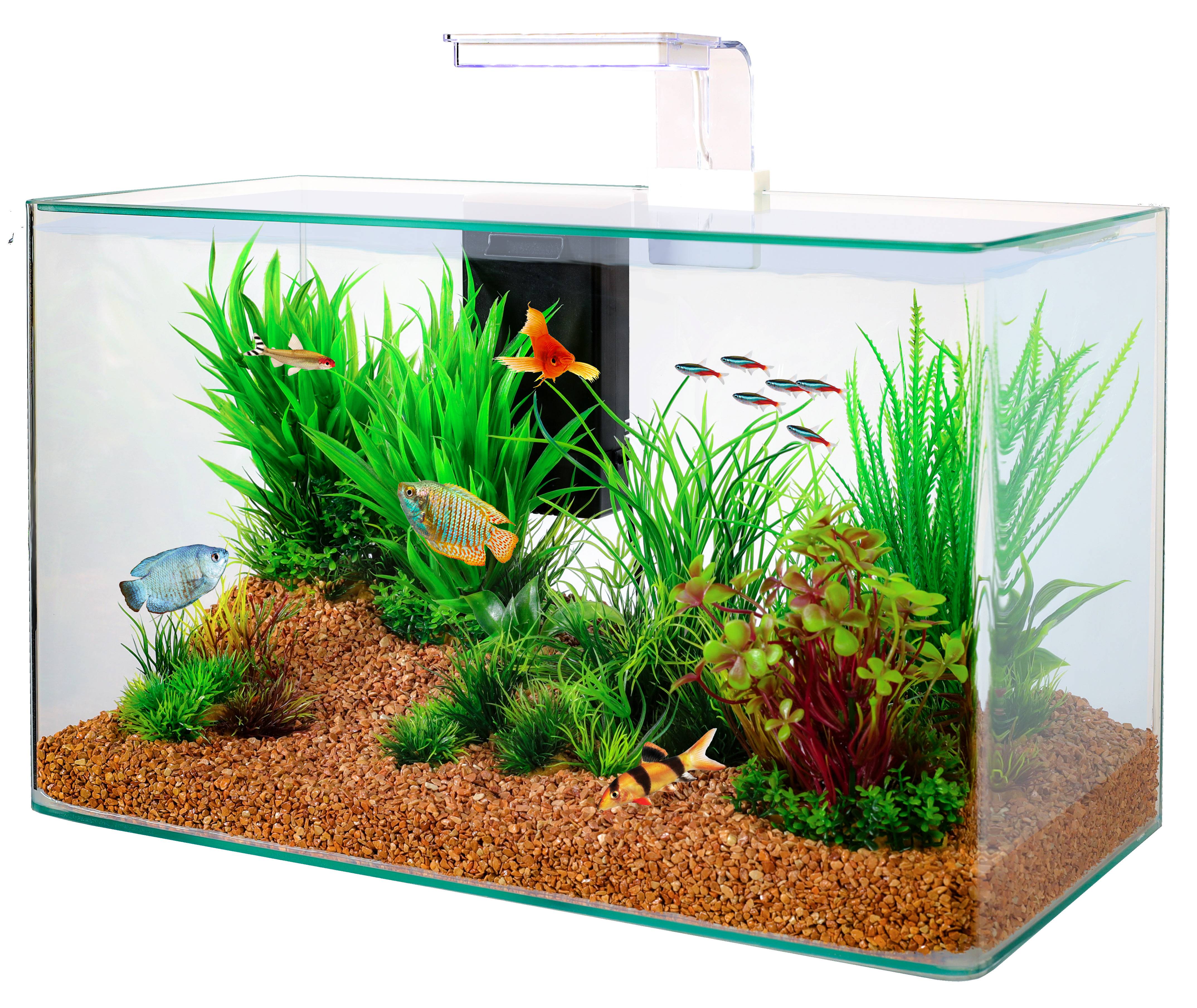 Zolux - Aquarium Clear Verre Blanc 32 L - ZOLUX
