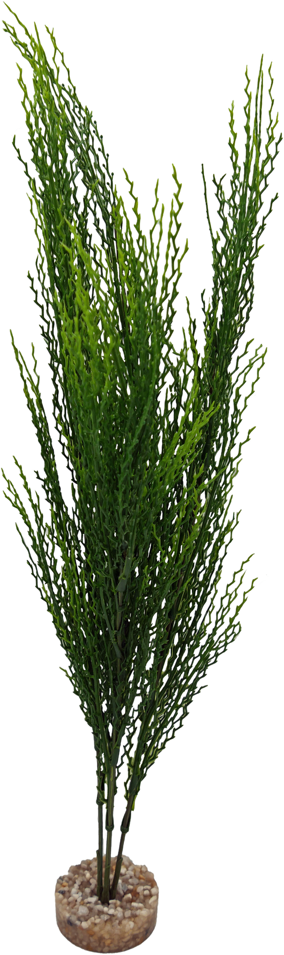 Labéo - Plante artificielle Herbe corail TGM verte - H.40 cm - Labéo